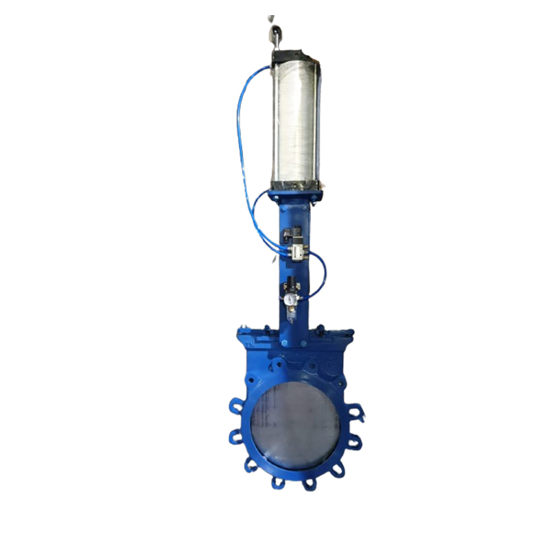 Knife Edge Gate Valve 4